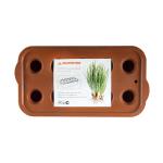 Ящик для выращивания зеленого лука Альтернатива, 10 ячеек, коричневый